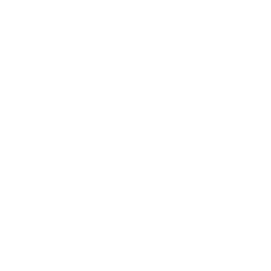 Sisecam-Logo